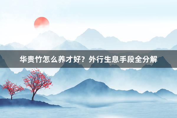 华贵竹怎么养才好？外行生息手段全分解