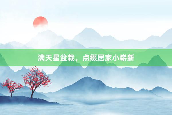 满天星盆栽，点缀居家小崭新